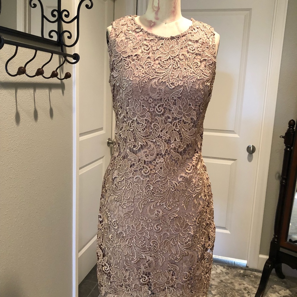 Calvin Klein Beautiful Lace Dress